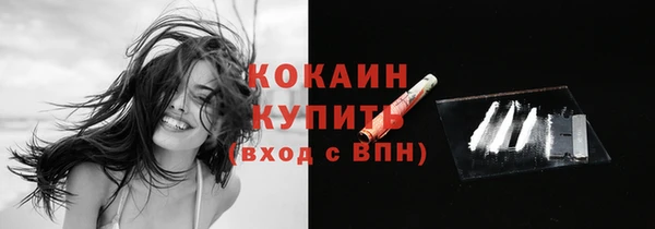 тгк Алексин