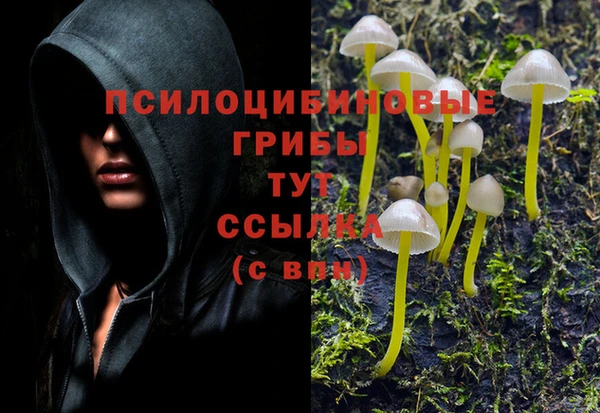 трава Алексеевка